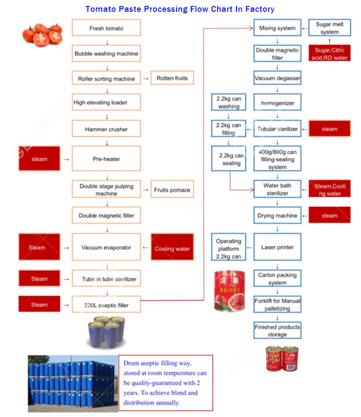 Технологическая схема переработки томатов на заводе.jpg